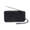 OEM Logo Portable AM FM Radio 2 Band Battery Operated With Retractable Antenna